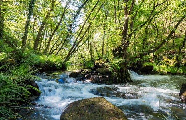 O Muíño de Pena Casa Rural - Foto 50