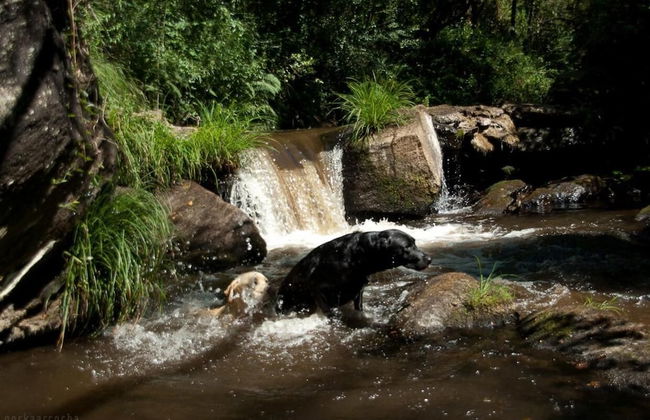 O Muíño de Pena Casa Rural - Foto 48