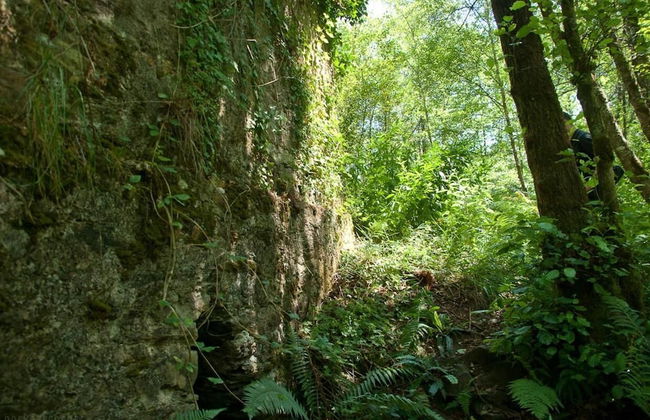 O Muíño de Pena Casa Rural - Foto 49