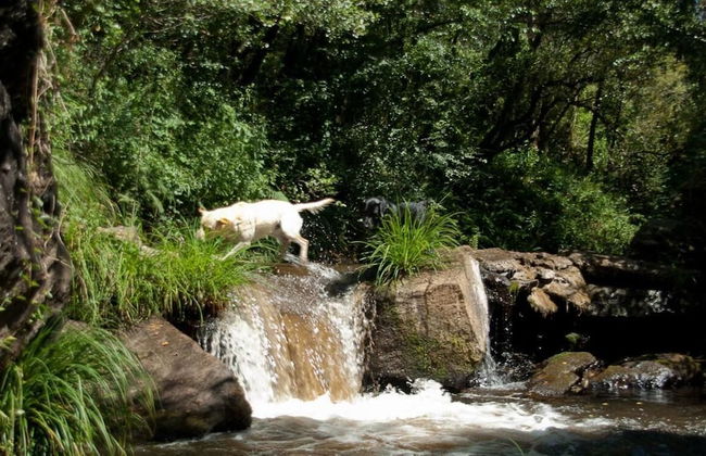 O Muíño de Pena Casa Rural - Foto 45