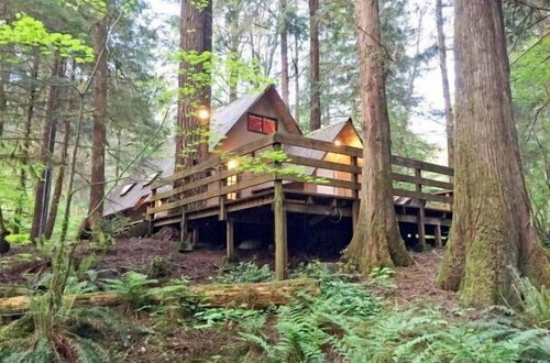 Foto 13 - Mt Baker Lodging Cabin 86 - Sleeps 5