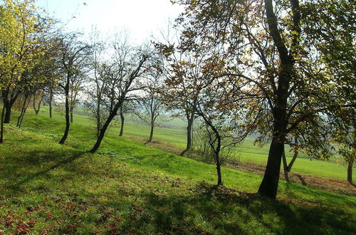 Foto 25 - Apartment in a 19th Century Building, in the Hills With Stunning Views, Wifi