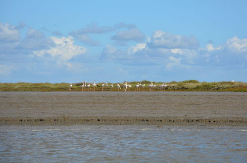 Photo 18 - Tagus Marina - Houseboat