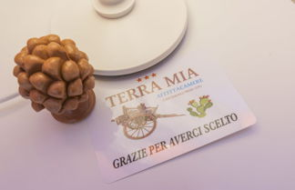 Photo 1 - Terra Mia