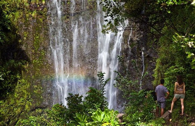 Kapalua Ridge Villas 1414 - Foto 22