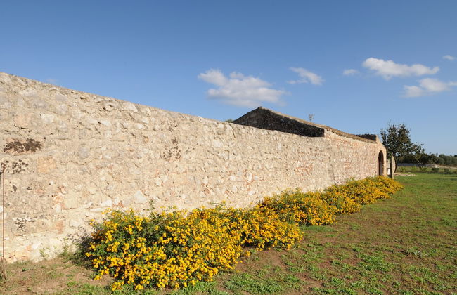 Masseria Uccio - Foto 24