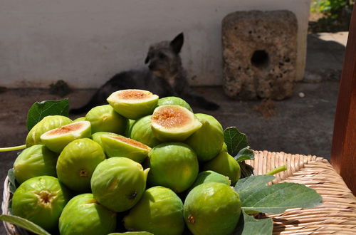 Photo 20 - Masseria Uccio