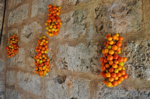 Photo 38 - Masseria Uccio