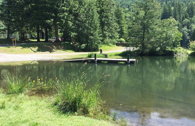 83MF - Lakeside - Hot Tub - WIFI - BBQ - Dock - Sleeps 4 NO PETS - Foto 27