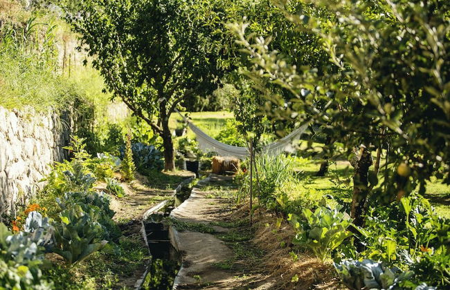 Casa Agrícola da Levada Eco Village - Foto 52
