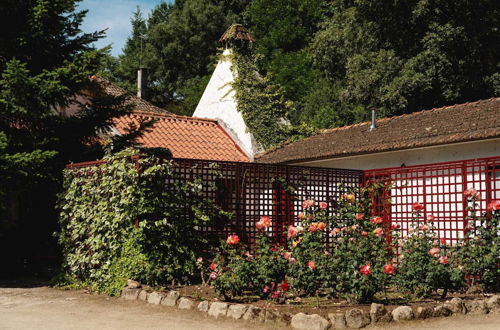 Photo 34 - Casa Agrícola da Levada Eco Village