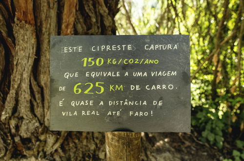 Photo 50 - Casa Agrícola da Levada Eco Village