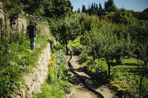 Foto 49 - Casa Agrícola da Levada Eco Village