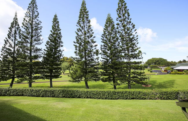 Turtle Bay Northshore Haven***ta074664550401 1 Bedroom Condo by RedAwning - Foto 26