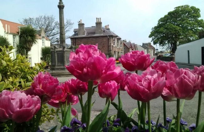 Harbourside Cottage - Foto 14
