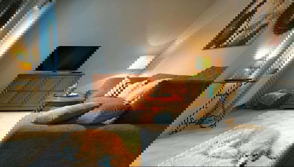 Imagem principal
