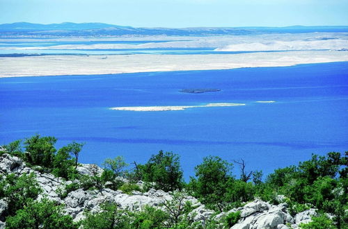 Photo 25 - Authentic Stone House on the Mountain Velebit