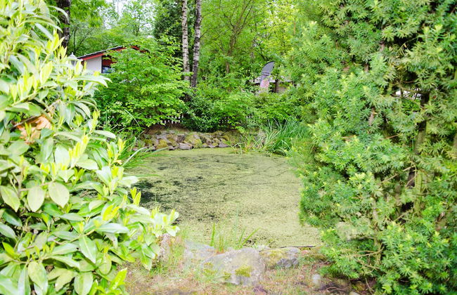 Ferienpark Grafschaft Bentheim - Foto 35