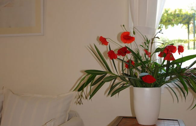 Barbati Bay Elegant Apartments - Foto 51