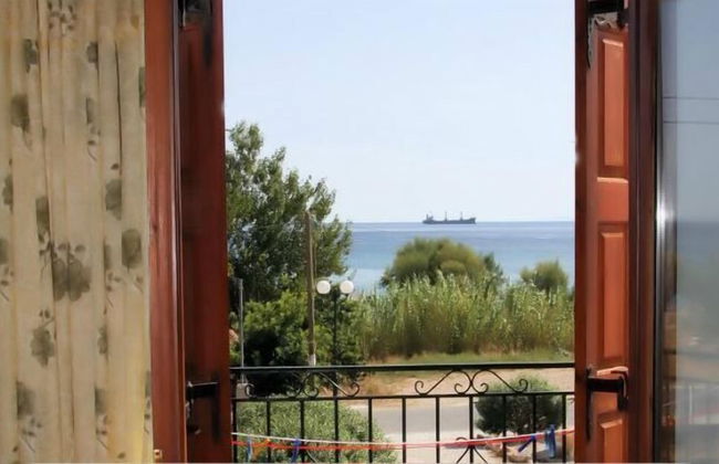 Stella - Foto 17