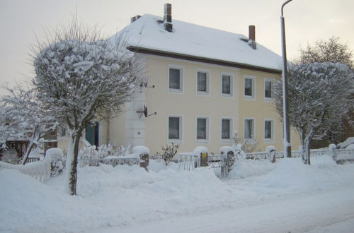 Photo 15 - Apartment in Bad Doberan mit Garten