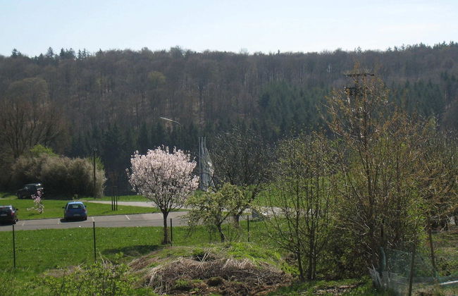 Detached Holiday Home With Terrace and its own Garden in the Hunsruck - Foto 18