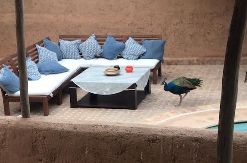 Foto 10 - Marrakesh 6-bed Housing Authentic Berber