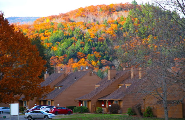 Cold Spring Plymouth Resort - Foto 48