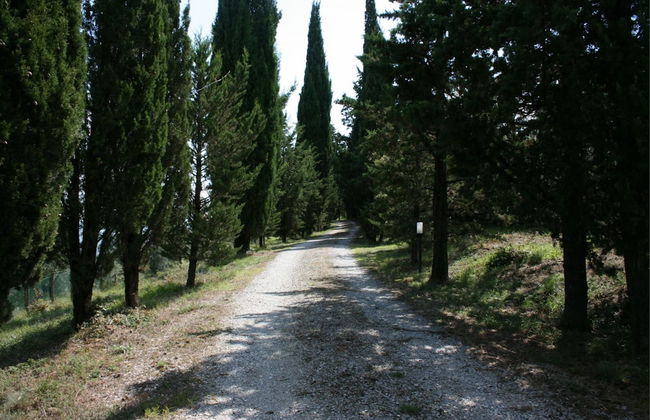 Podere della Crocchia - Foto 26