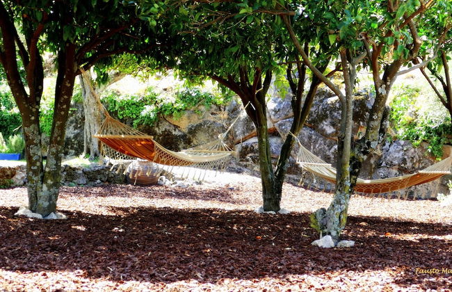 Pedra Nova - Turismo d'aldeia - Foto 64