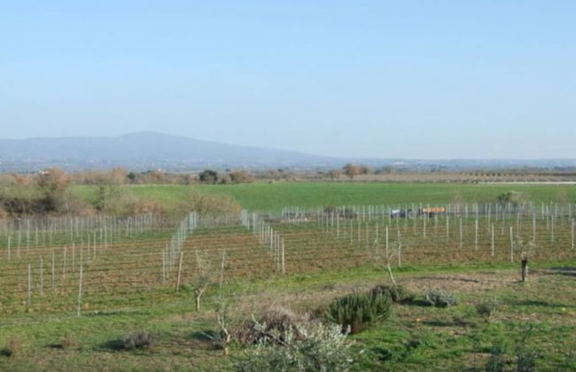 Agriturismo il Marrugio - Foto 34