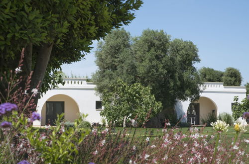 Photo 53 - Masseria Santo Scalone