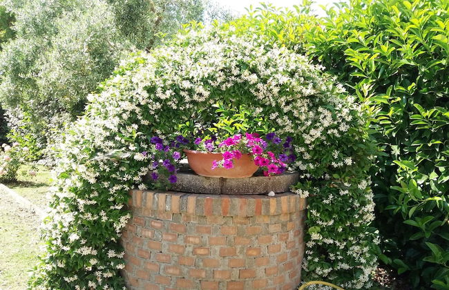 Agriturismo Pinzale - Foto 34