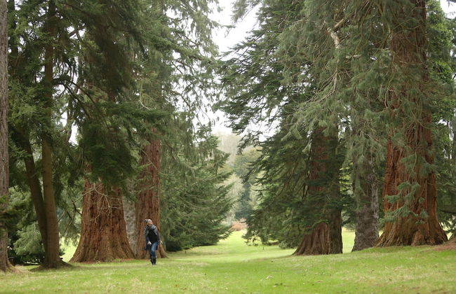 Balvaird Wing at Scone Palace - Foto 5