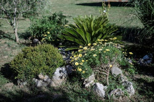 Foto 36 - Mig - With Beautiful Garden - A4 Zeleni