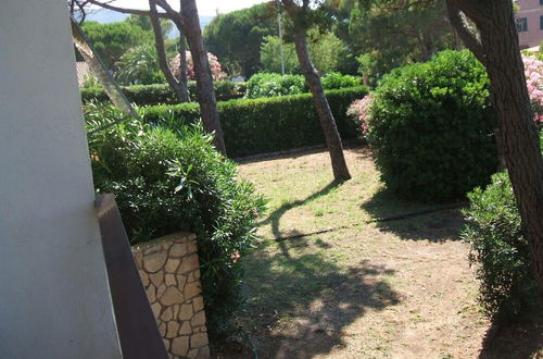 Foto 8 - Villa Argentario - Villa Argentario