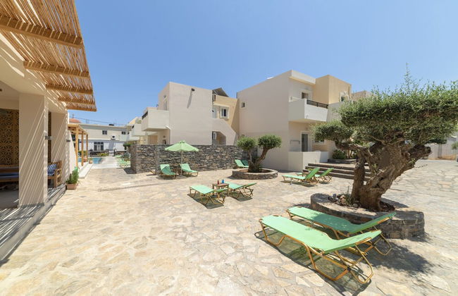 Olive Grove - Foto 25