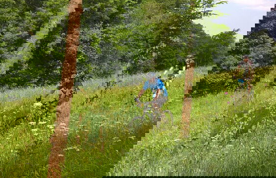 Kammbaude Neuhermsdorf - Foto 11