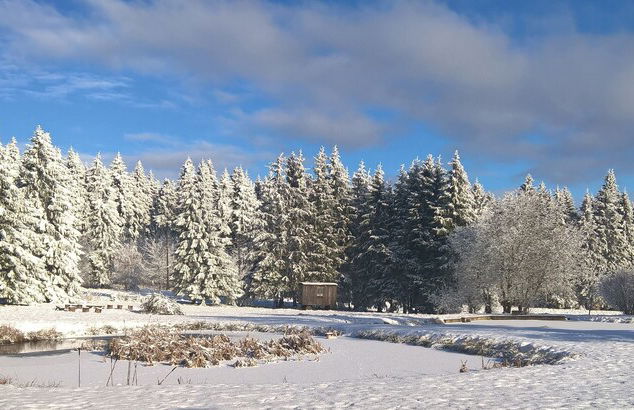 Kammbaude Neuhermsdorf - Foto 18