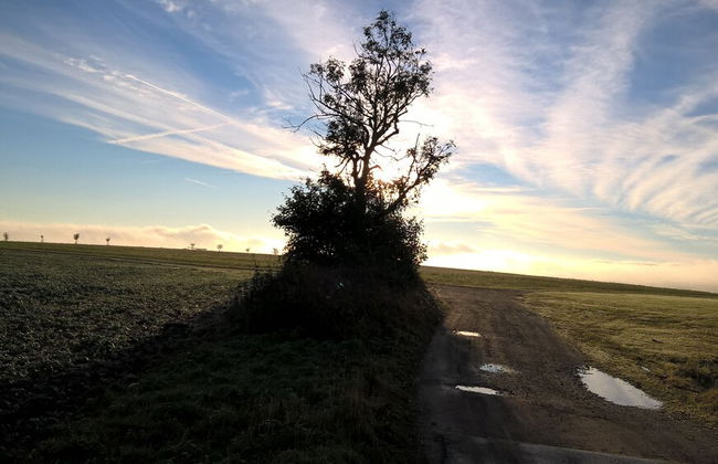 Kammbaude Neuhermsdorf - Foto 19