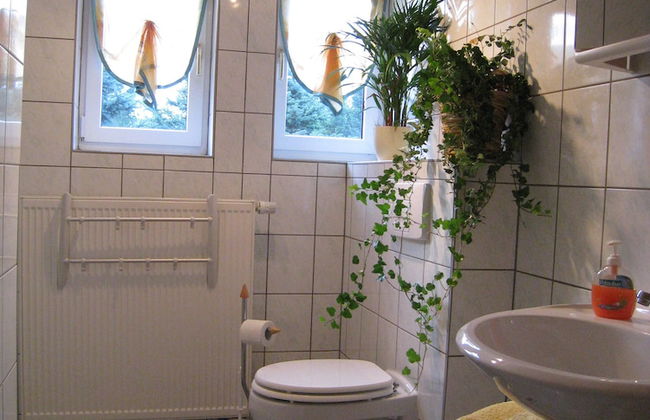 Kammbaude Neuhermsdorf - Foto 9