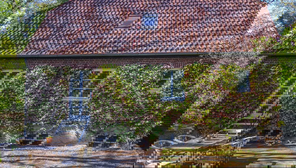 Image principale