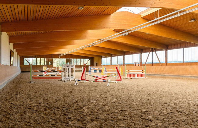 Ferienhaus in Eschede - Foto 20