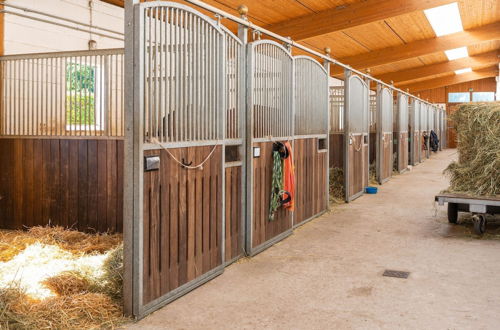 Photo 27 - Holiday Home on a Riding Stable in Luneburg Heath