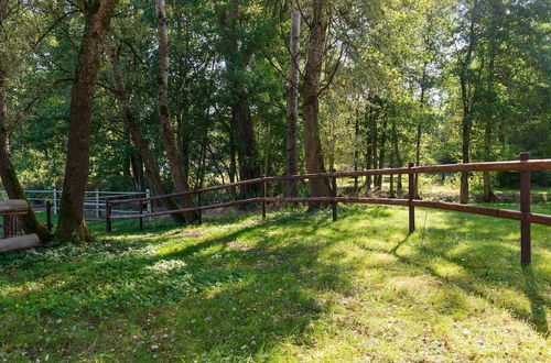 Photo 29 - Holiday Home on a Riding Stable in Luneburg Heath