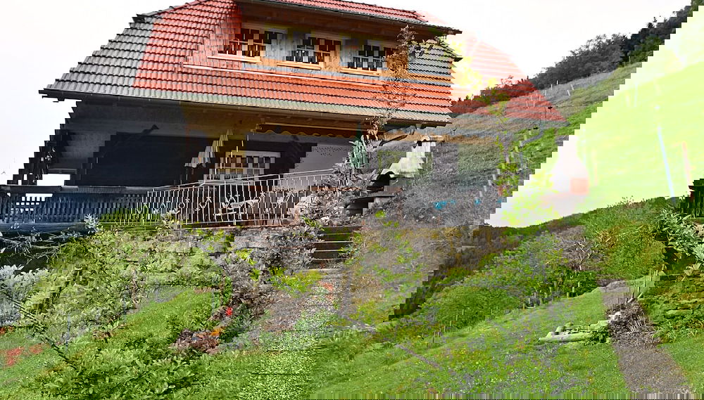 Image principale