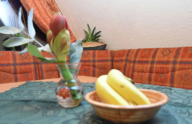 Quaint Holiday Home in Elbingerode near Forest - Foto 22