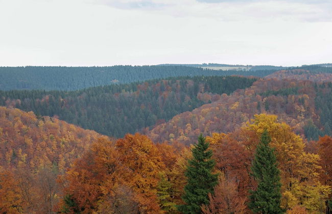 Fantastic Apartment in Frauenwald near Forest - Foto 36