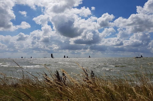 Photo 28 - Lovely Holiday Home in Stavoren near Frisian Lakes