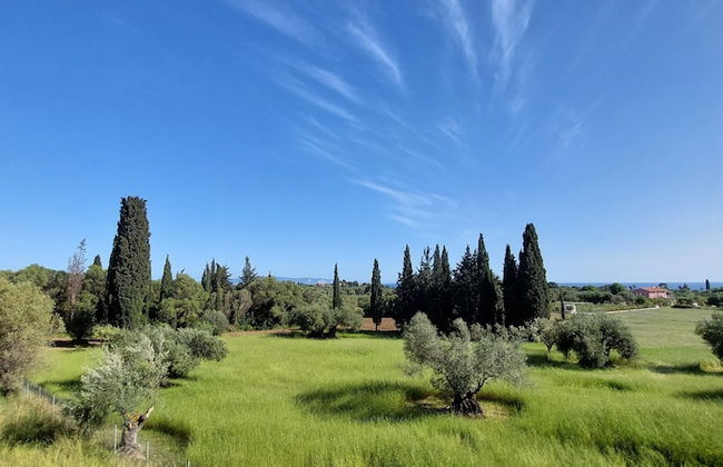 Villa Elaionas 1 - Photo 34